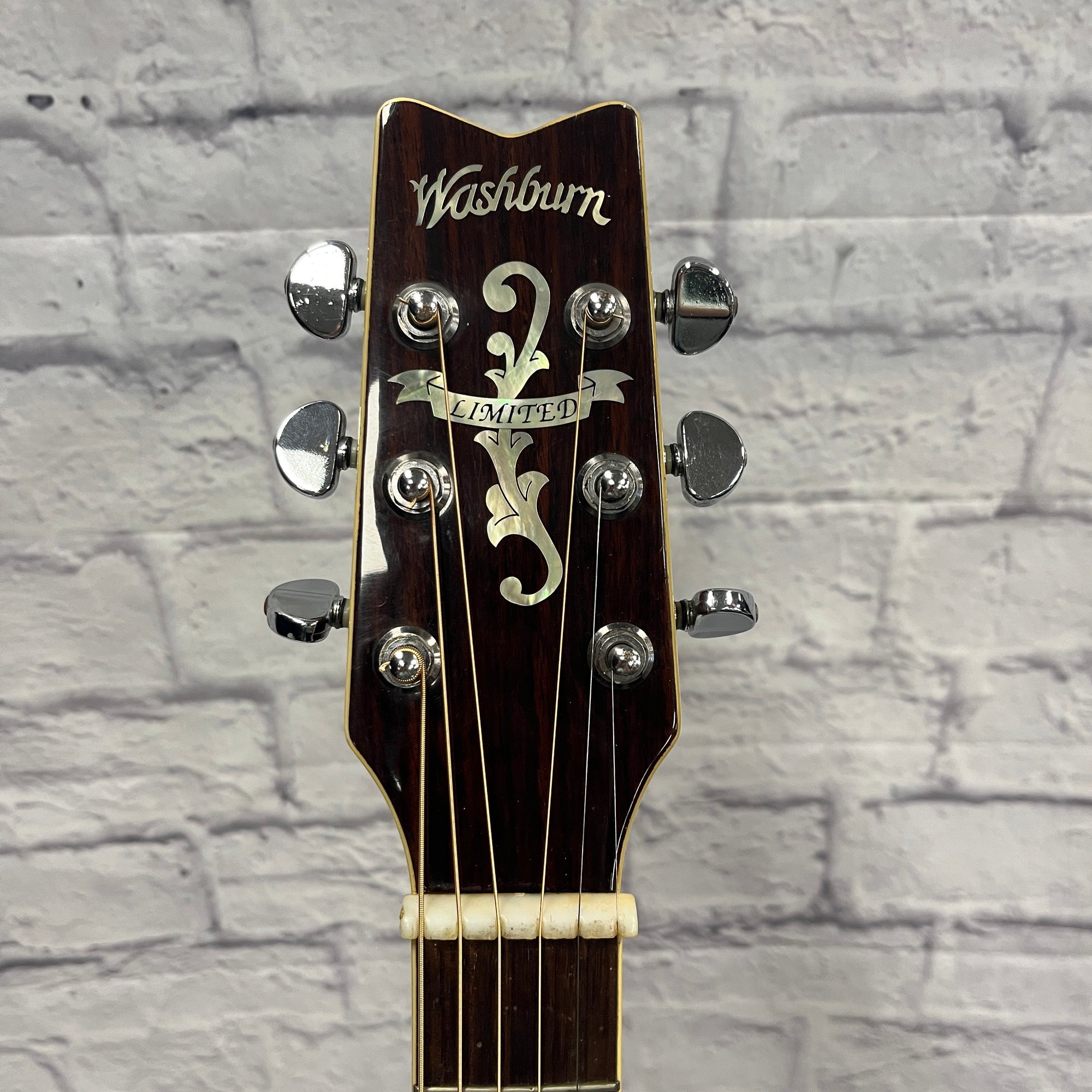 Washburn D95LTD Acoustic Guitar - Evolution Music