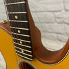 Fender Acoustisonic Tele Guitar