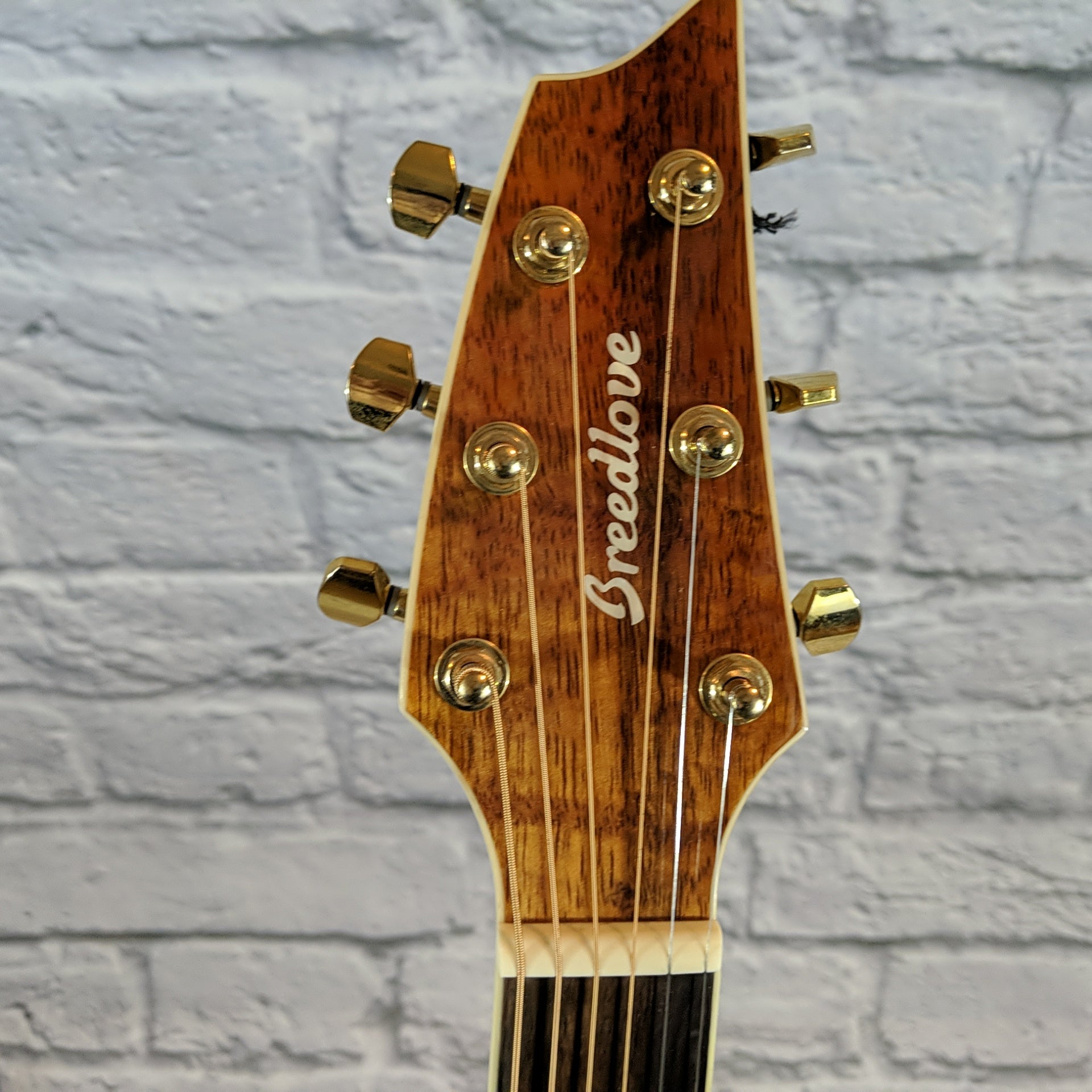 Breedlove Pursuit Concert 25th Anniversary w/Case - New Old Stock