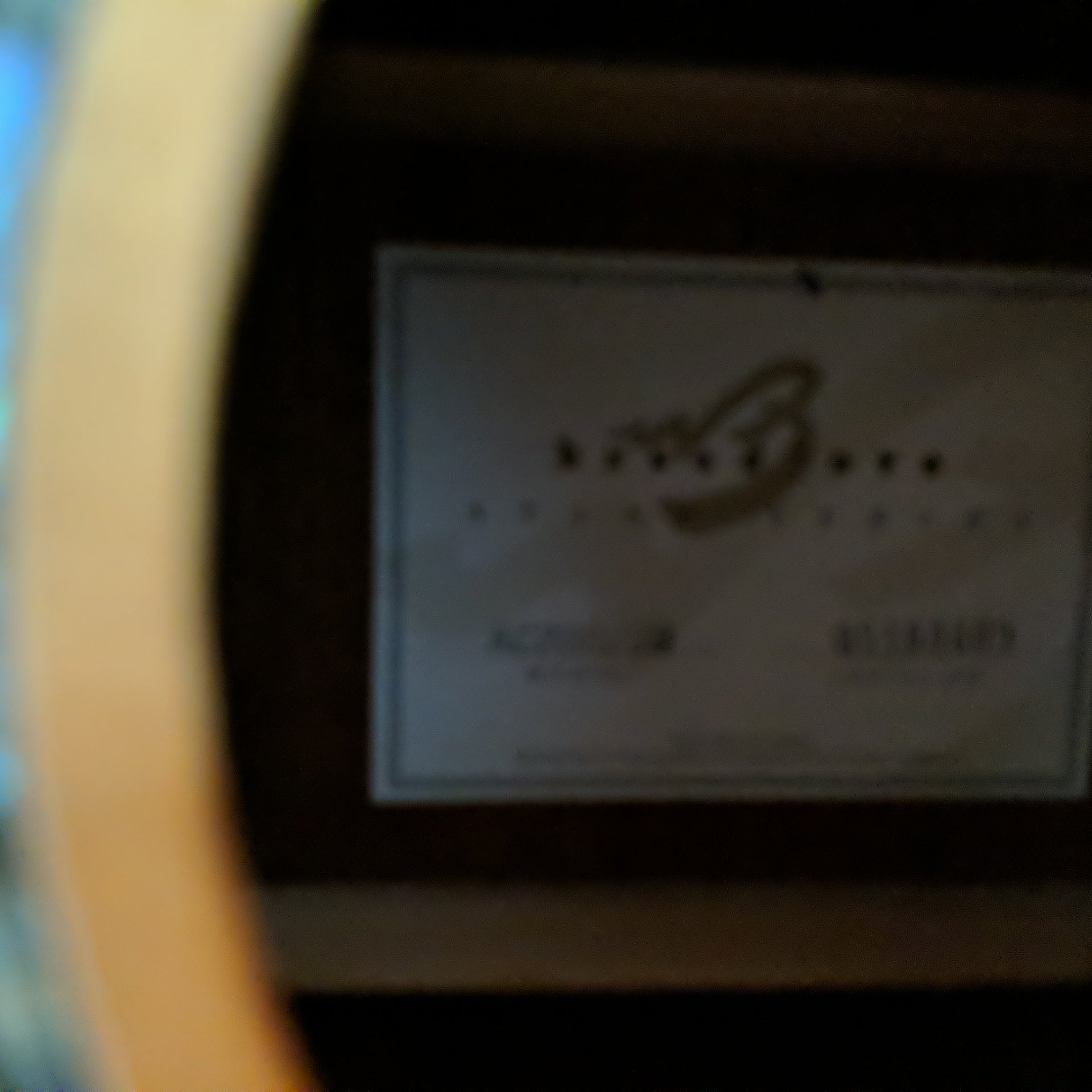 Breedlove AC200/SM Acoustic Guitar - New Old Stock