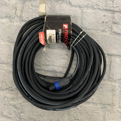 Pro Sound and Stage Lighting 1/4" to Twist Speakon Cable 80ft