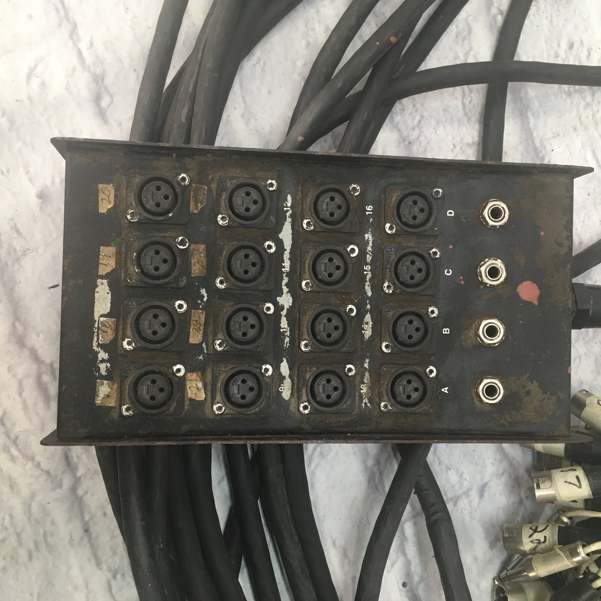LiveWire 100ft 16XLR x 4TRS Snake
