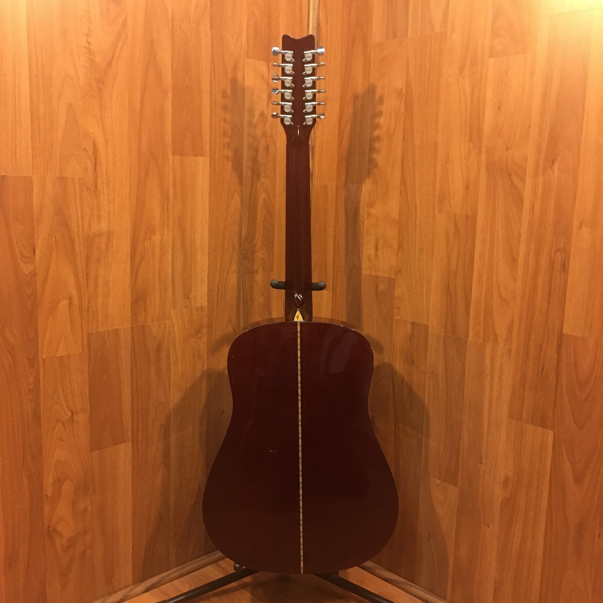 Washburn D12N 12-String Acoustic Guitar