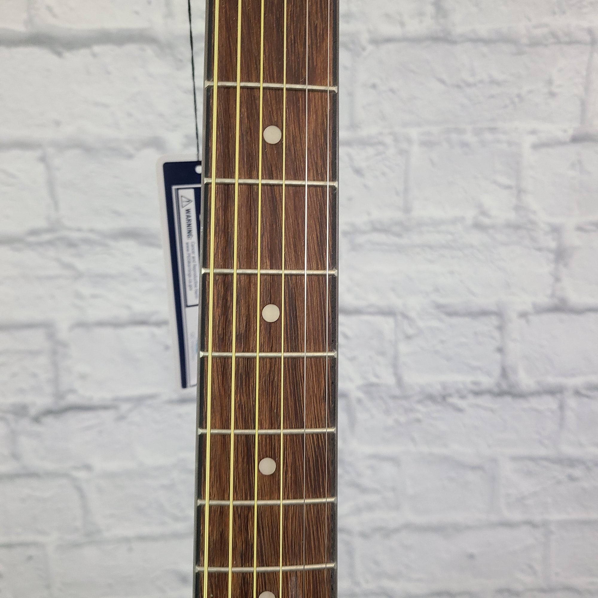 Ibanez IJV50 Acoustic Guitar
