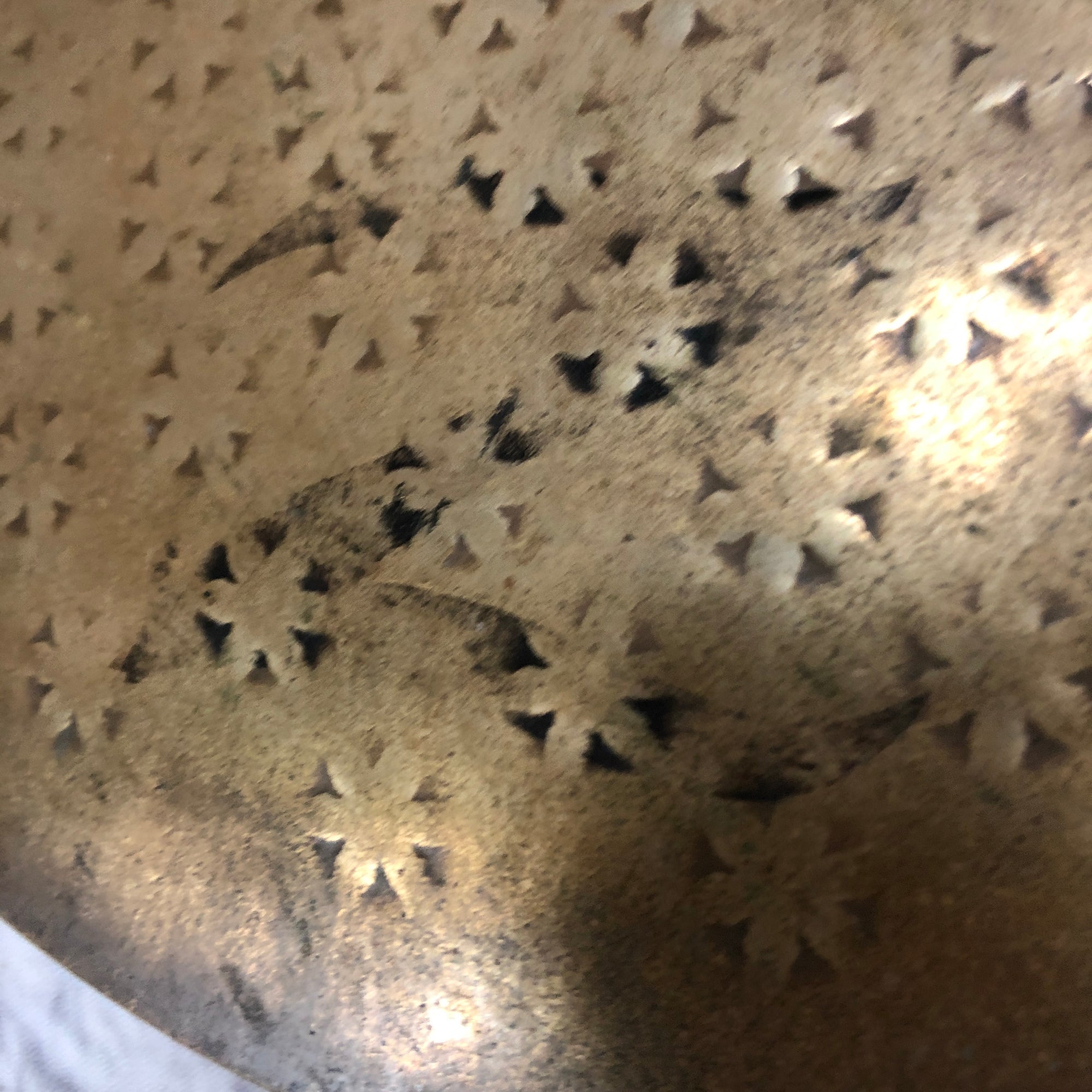 Zildjian Z Custom Splash 12 Splash Cymbal