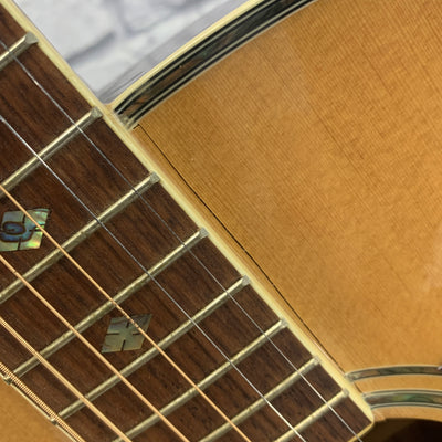 Ventura V4NAT Acoustic Guitar Natural