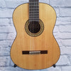 Austin AA60-C Acoustic Guitar