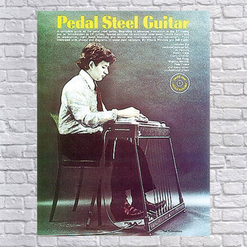 Pedal Steel Guitar (Other)