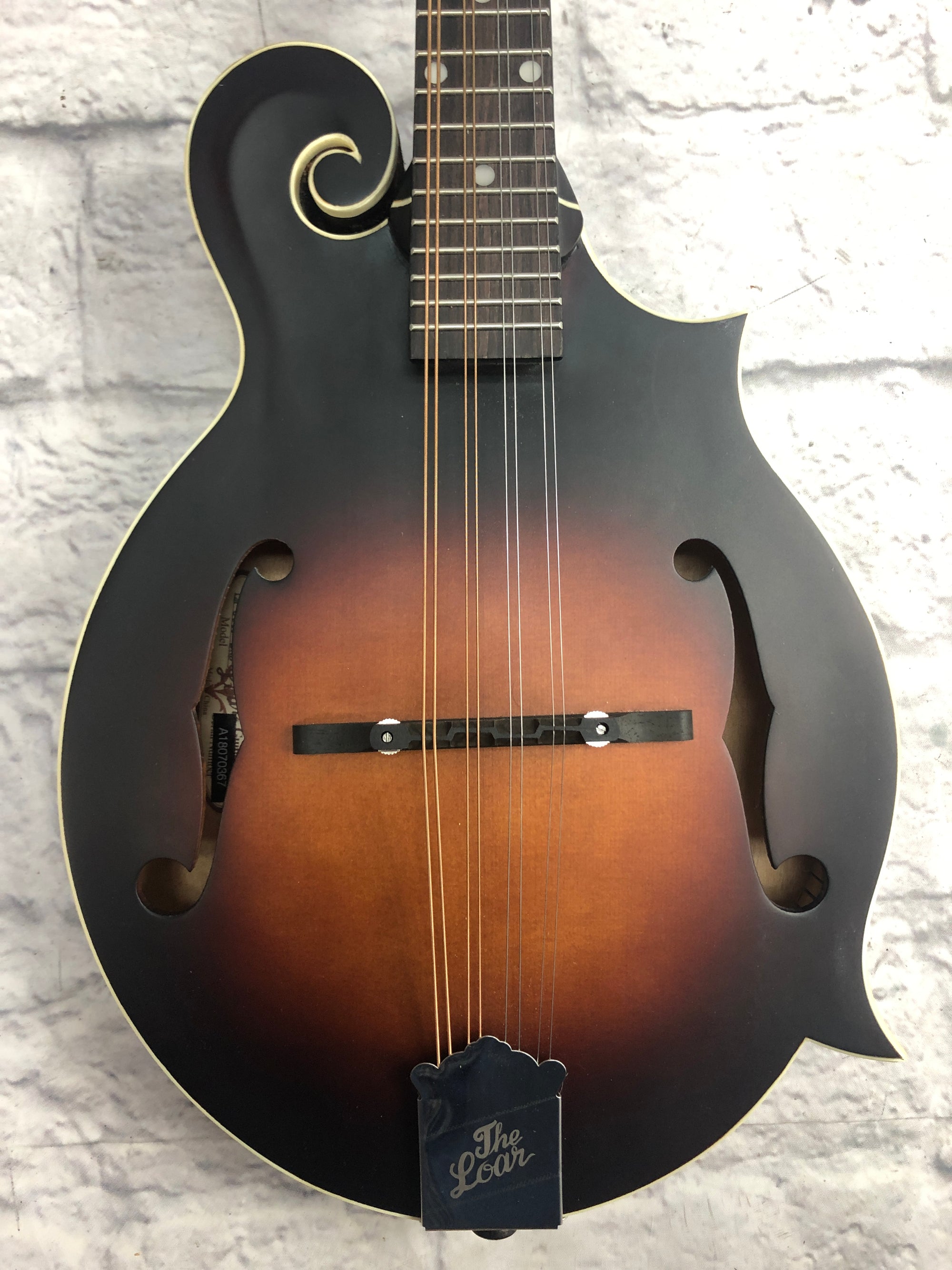Loar LM-310F F Style Mandolin