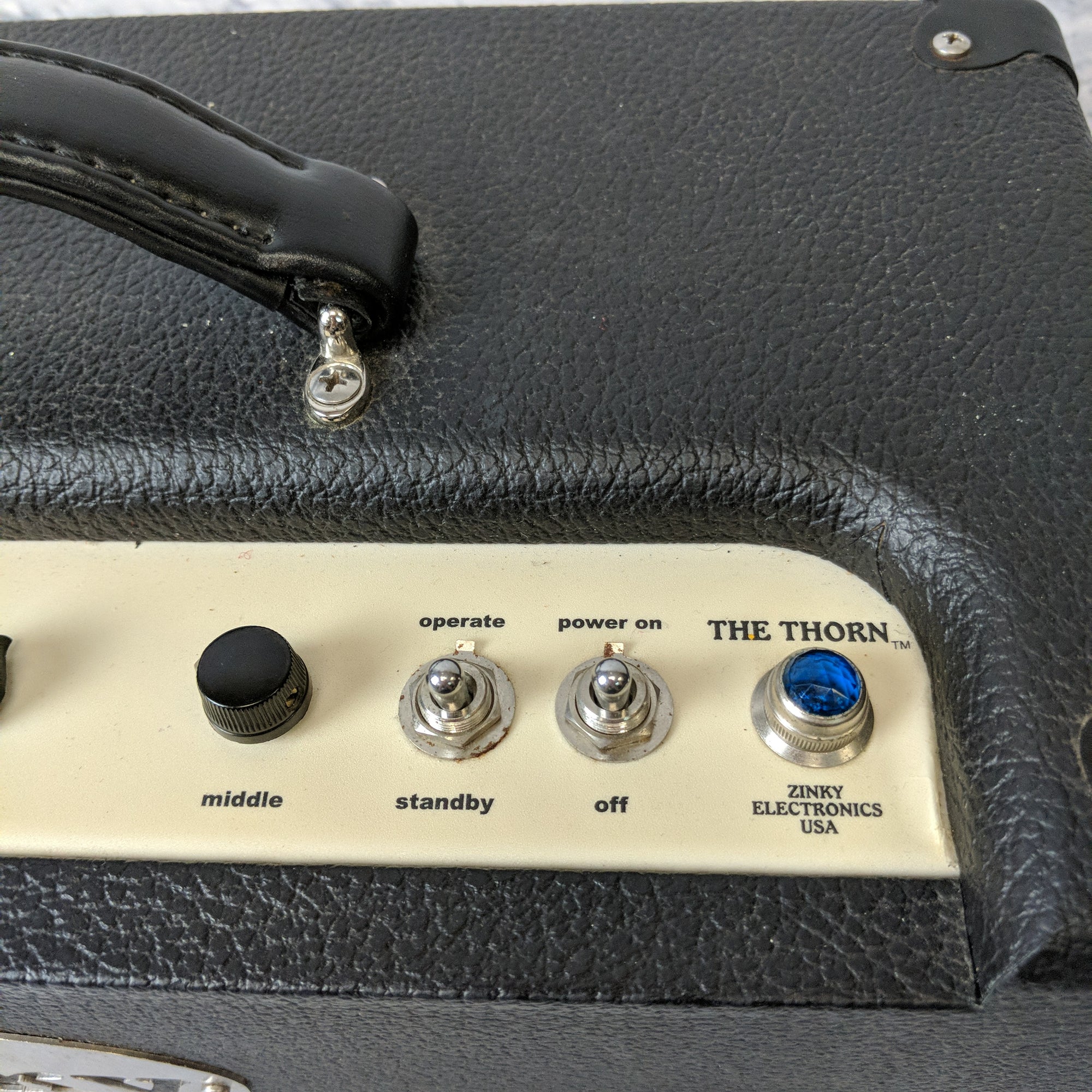 Zinky Thorn amp head Guitar Amp Head
