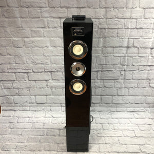Unknown Powered Karaoke Speaker
