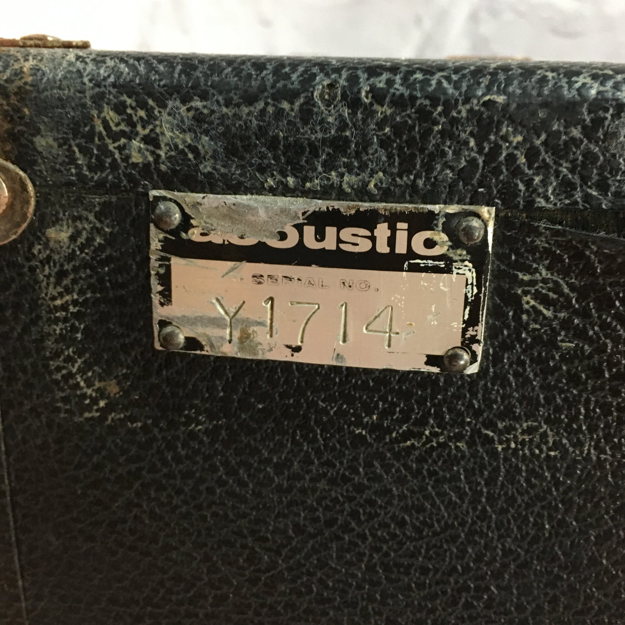 Acoustic 2x15 Unloaded Cab