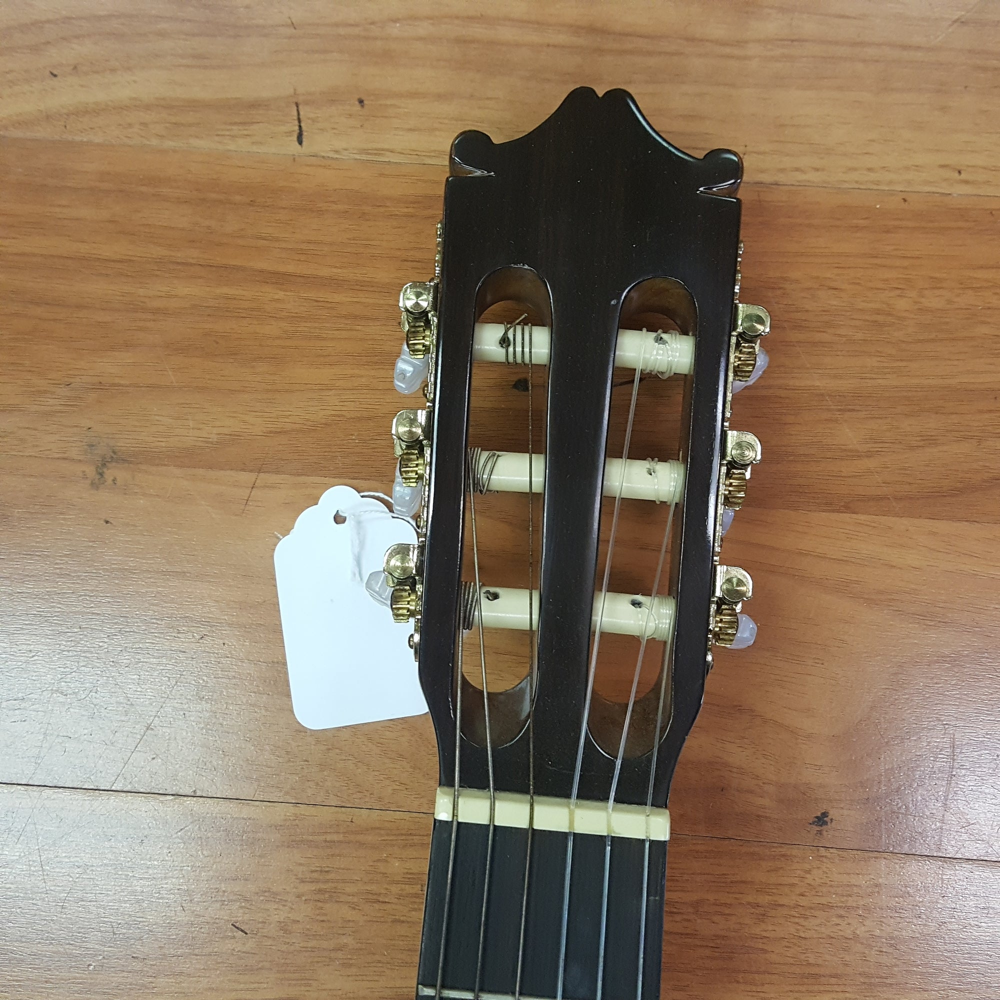 Ibanez GA30GY Classical Acoustic
