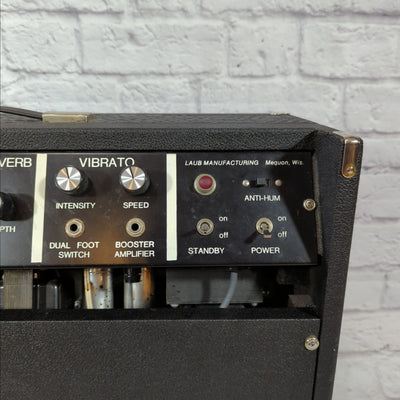 Vintage 70s Laub Manufacturing Unique Guitar 2x12 Combo Amp