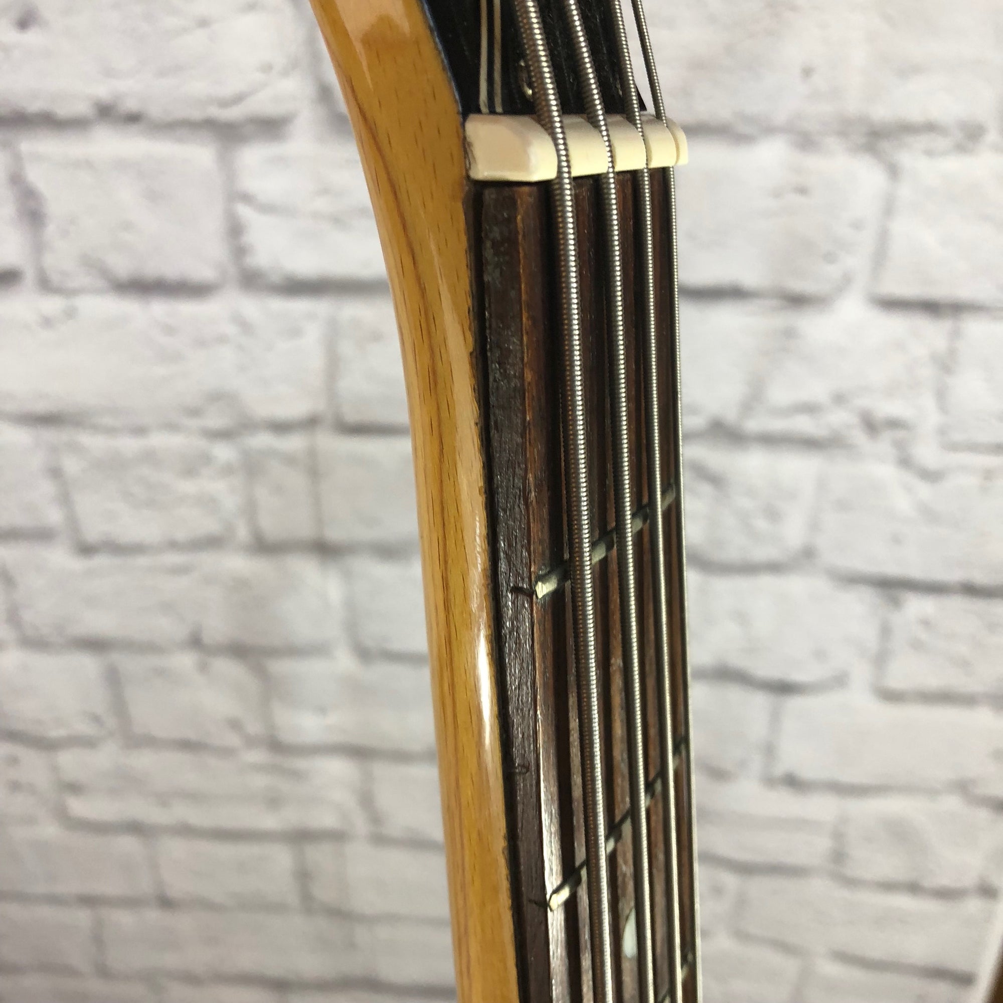 Electra 4 String Semi Hollow Bass