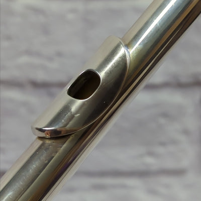 The Haynes Flute Amadeus AF680 Professional Flute