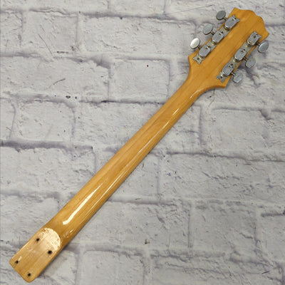 Epiphone Japan Semi Hollow Neck Body Project