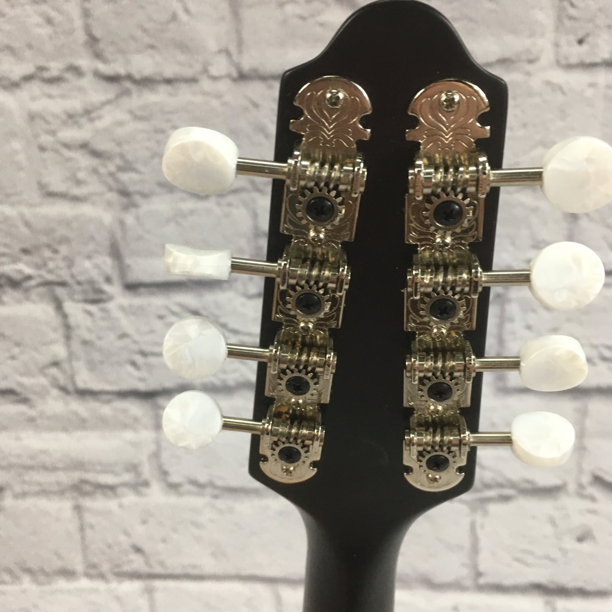 The Loar LM-110-BRB Honey Creek A-Style Mandolin
