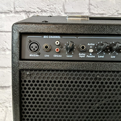 Axtron GM-40 Acoustic Guitar Combo Amp with Mic Channel