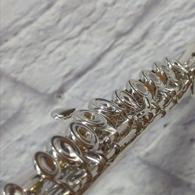 The Haynes Flute Amadeus AF680 Professional Flute