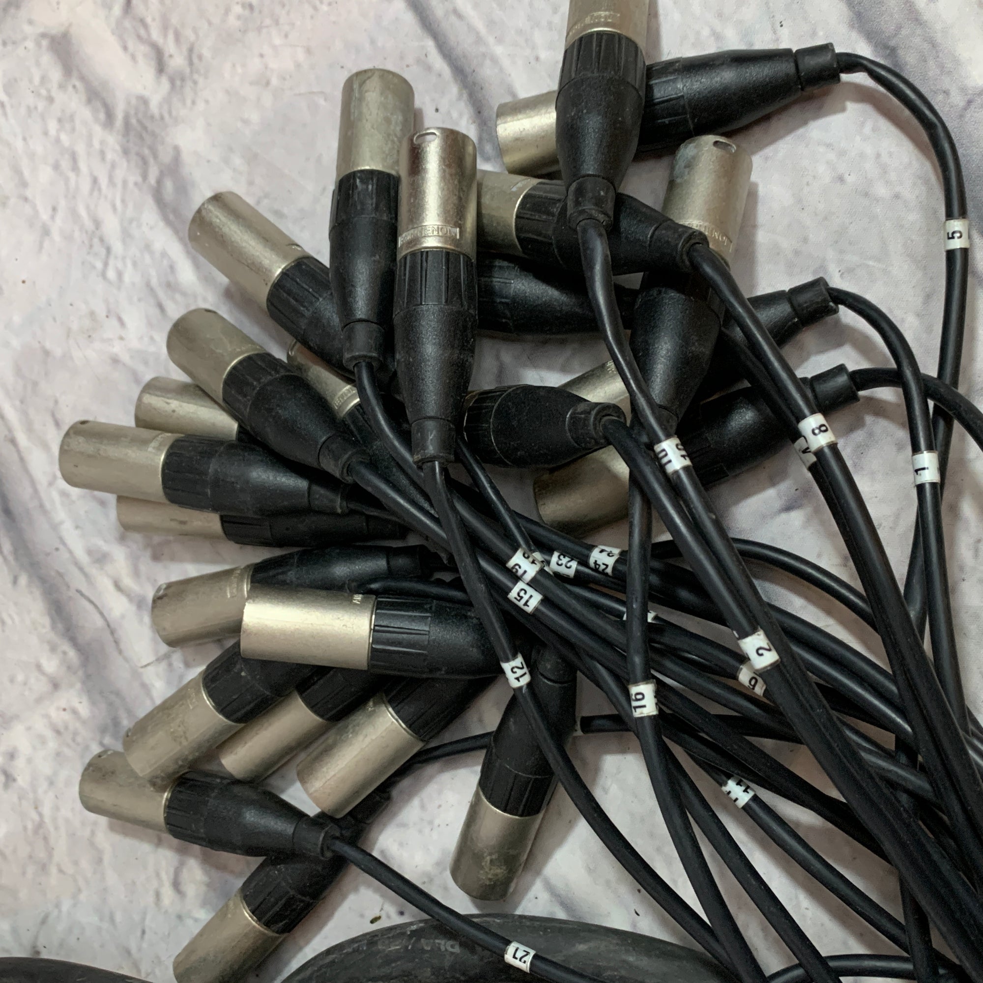 ProCo Stagemaster 24X4 100' Snake