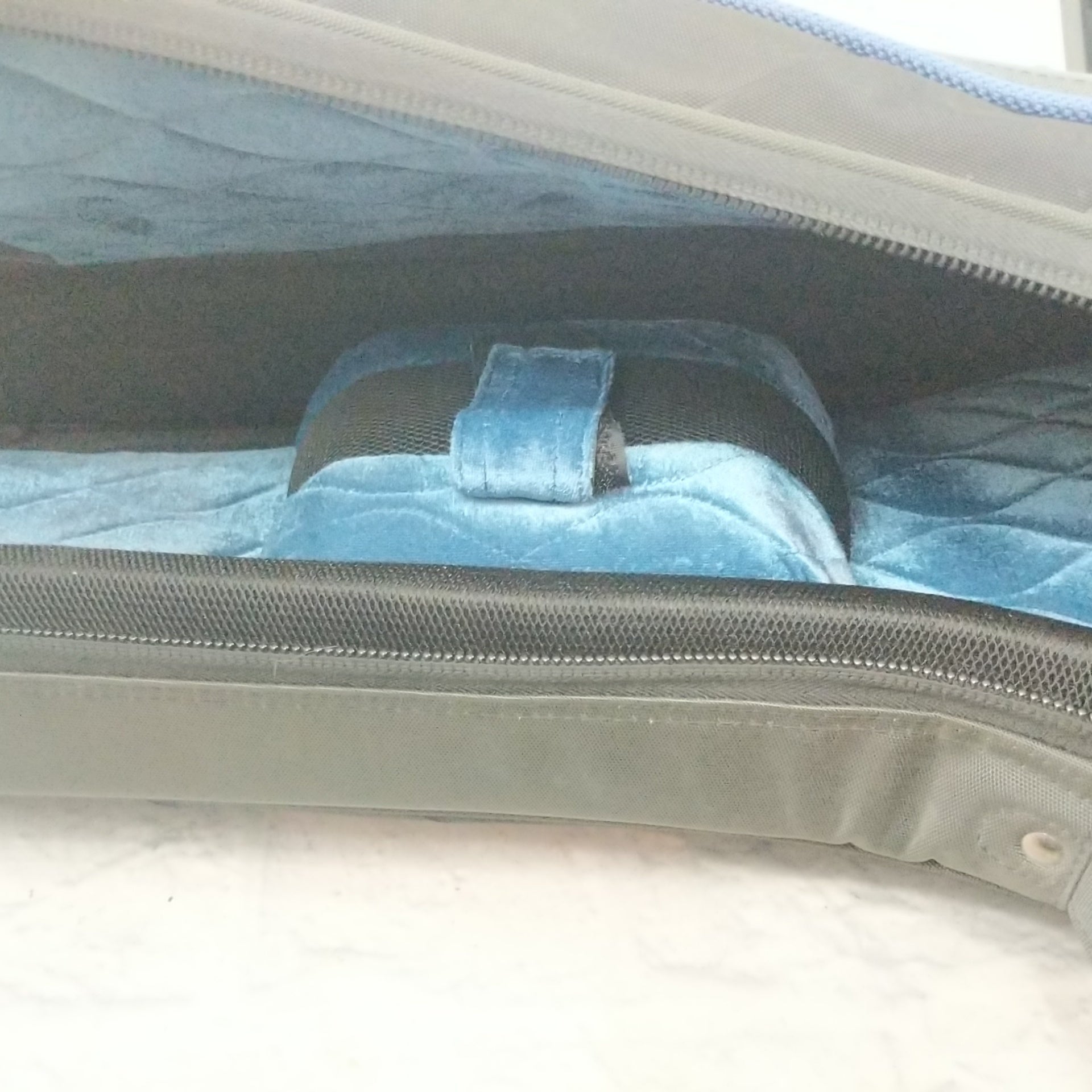 Reunion Blues Continental Electric Guitar Case