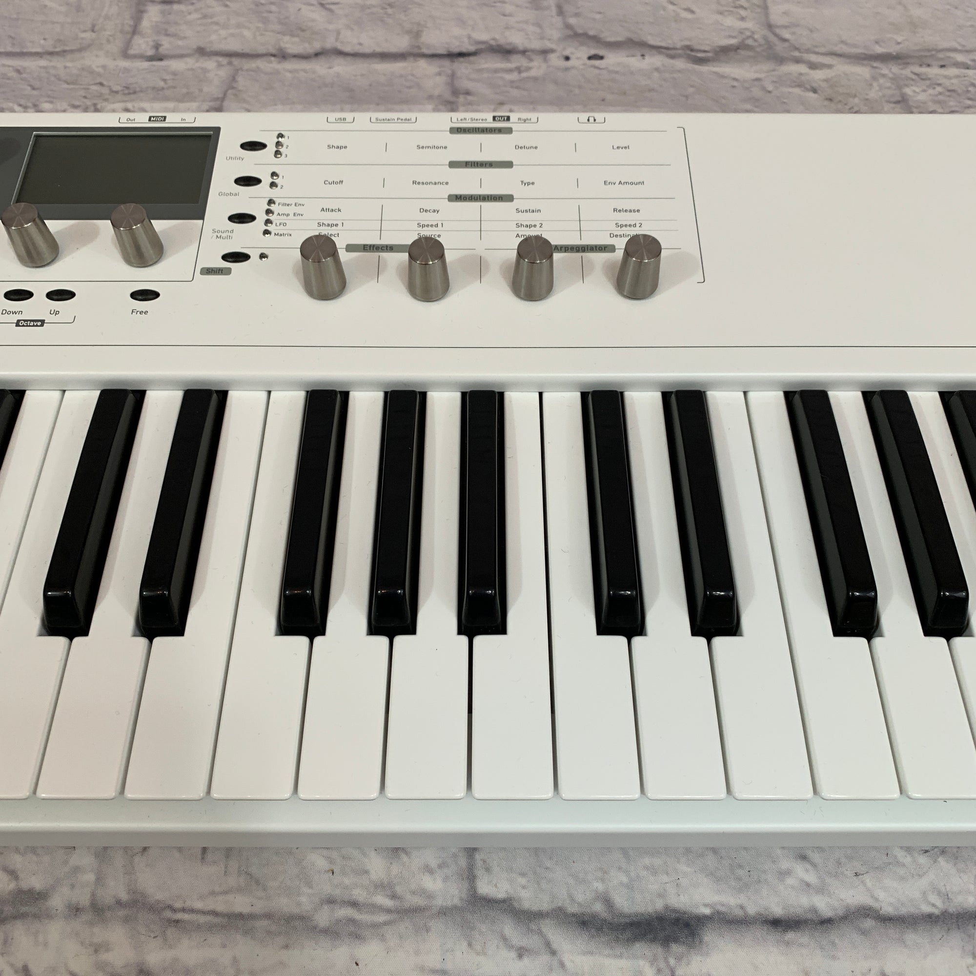 Waldorf Blofeld 49 Key Synthesizer - Evolution Music