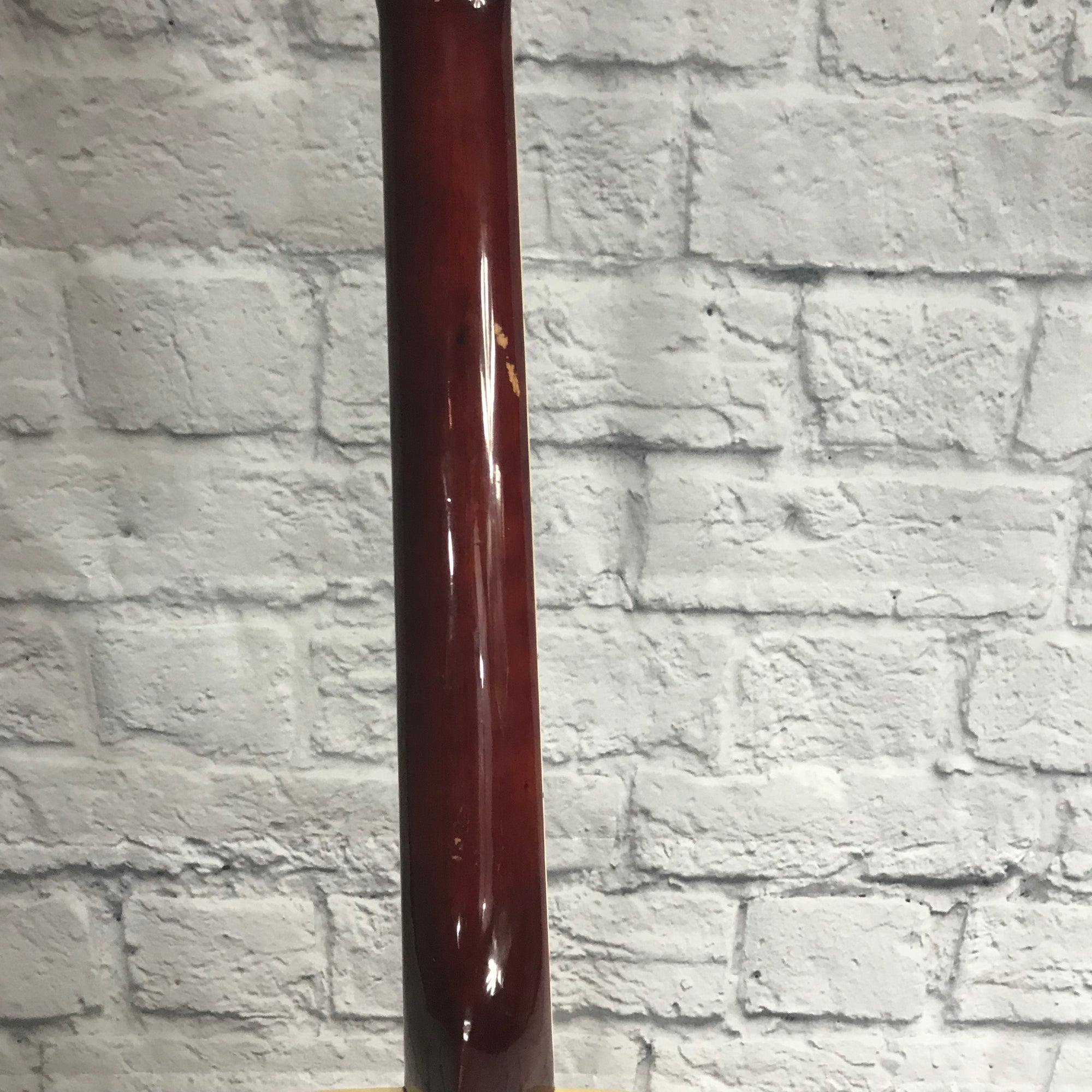 Carlo Robelli CBW410N Acoustic Guitar