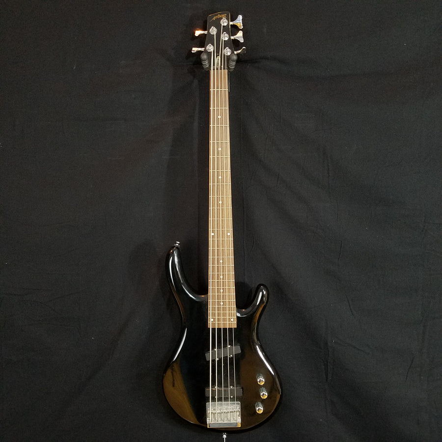 Arbor 5 String Bass