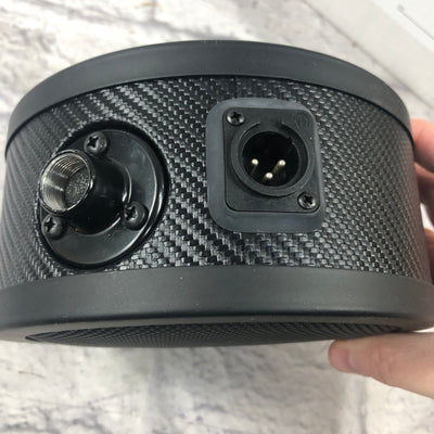 Solomon Mics LoFreq Sub Mic