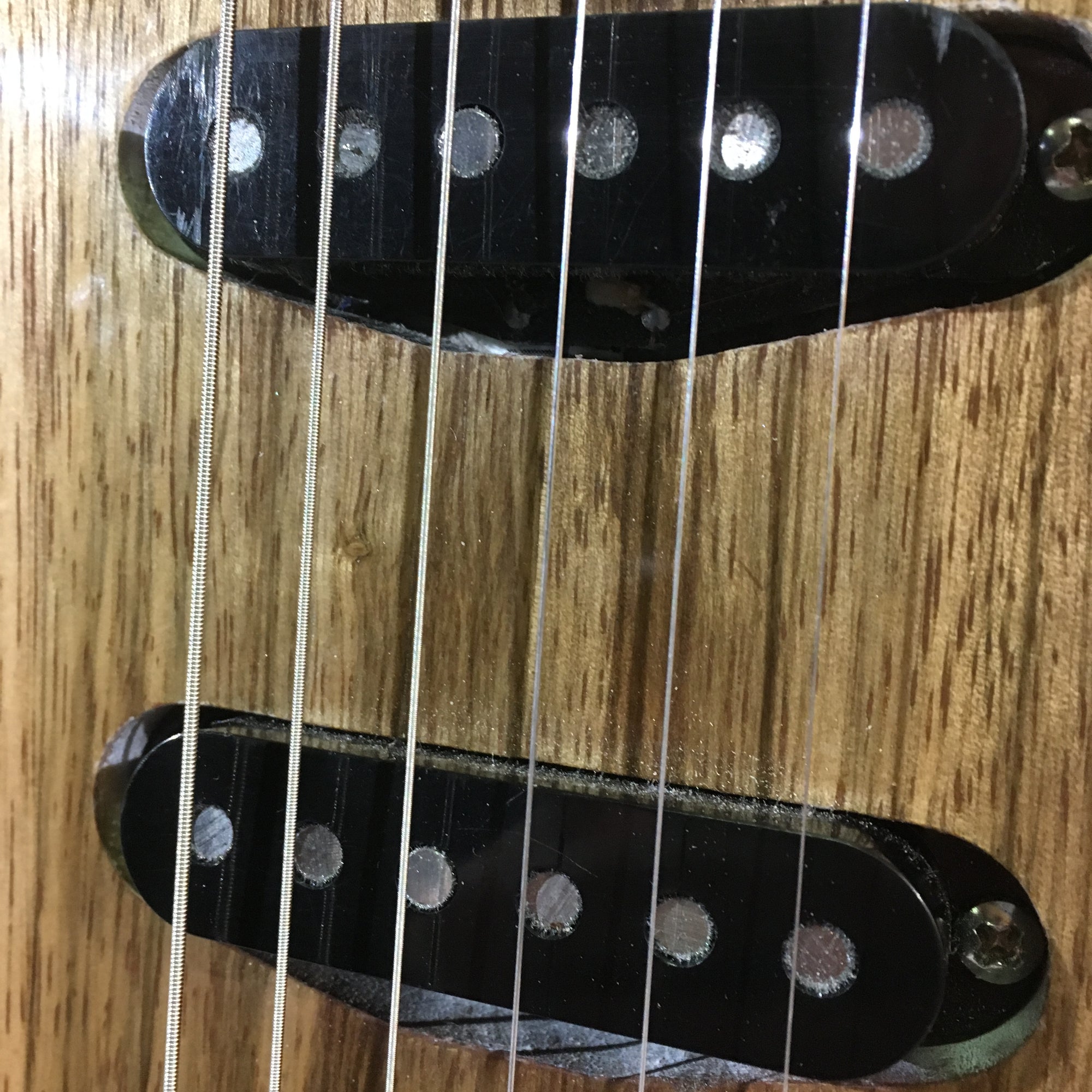 ** Gatto S Style Natural Black Limba with TKL Gig Bag