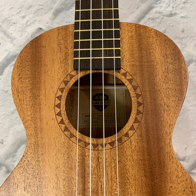 Kala Learn To Play Ukulele Tenor Starter Kit
