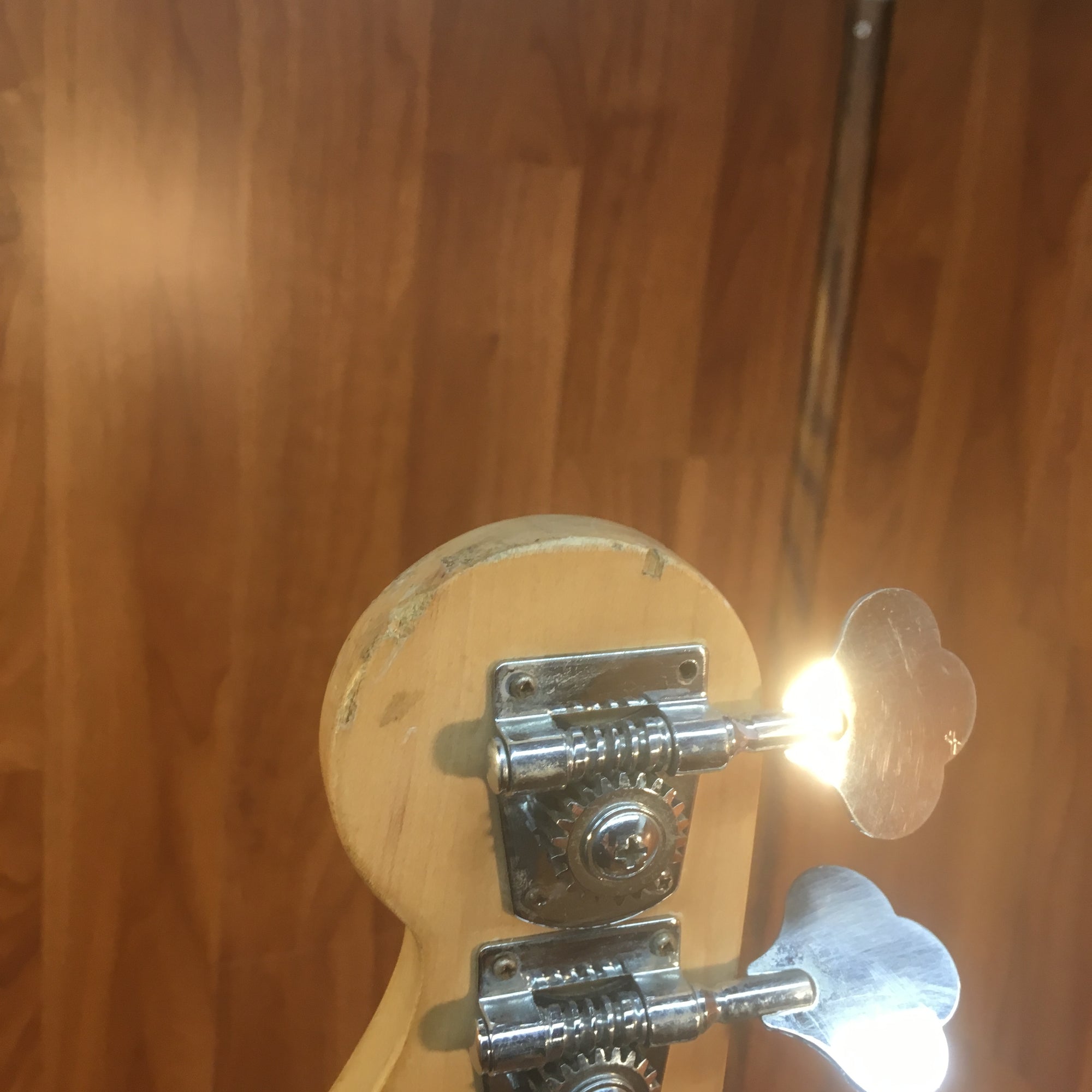 Squier PJ Bass Standard Series