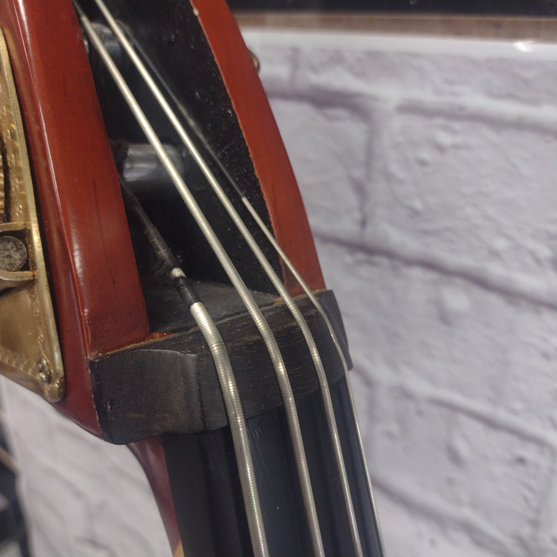 Palatino VB-004 1/2 Upright Bass