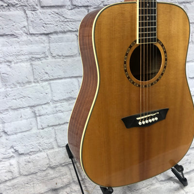 Washburn WD10 Acoustic Guitar
