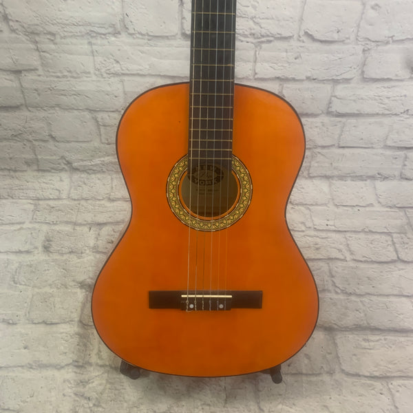 Acoustic Guitars Tagged "New York Pro" Evolution Music
