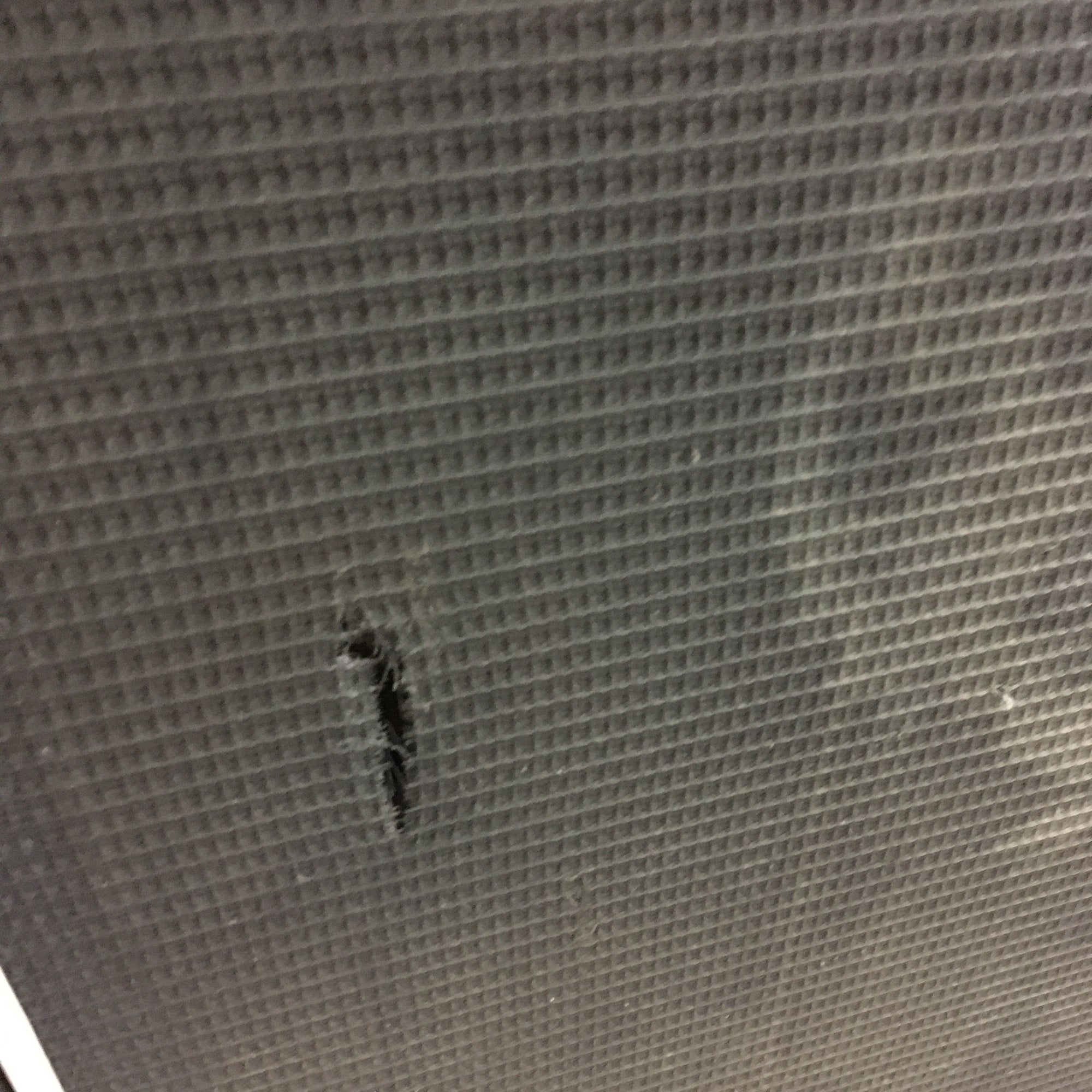 Acoustic 2x15 Unloaded Cab