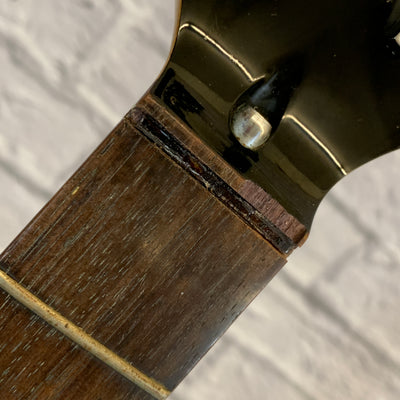 Guitar Systems FX-2 Project Guitar
