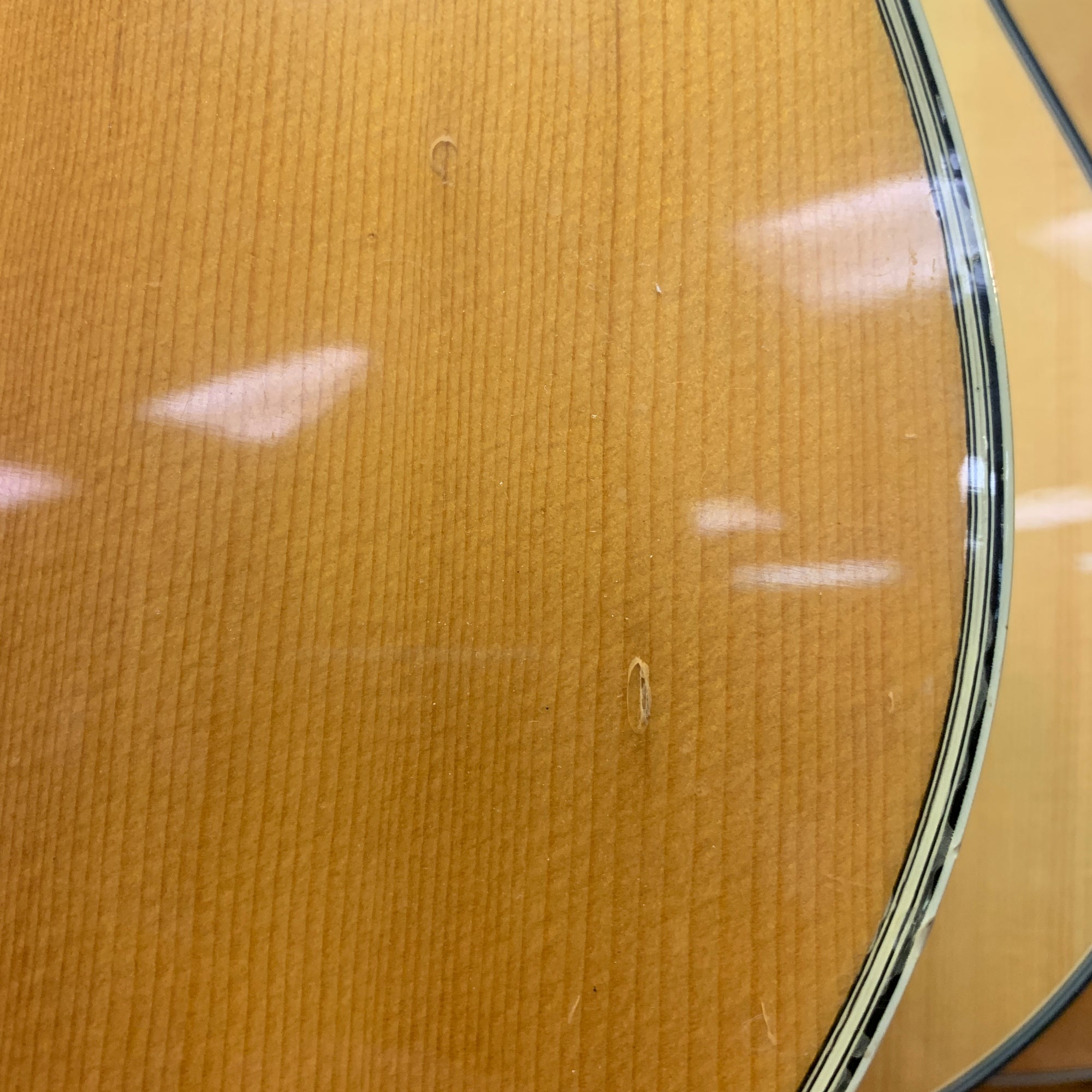 Morris MD514 Acoustic Guitar Korea - Evolution Music