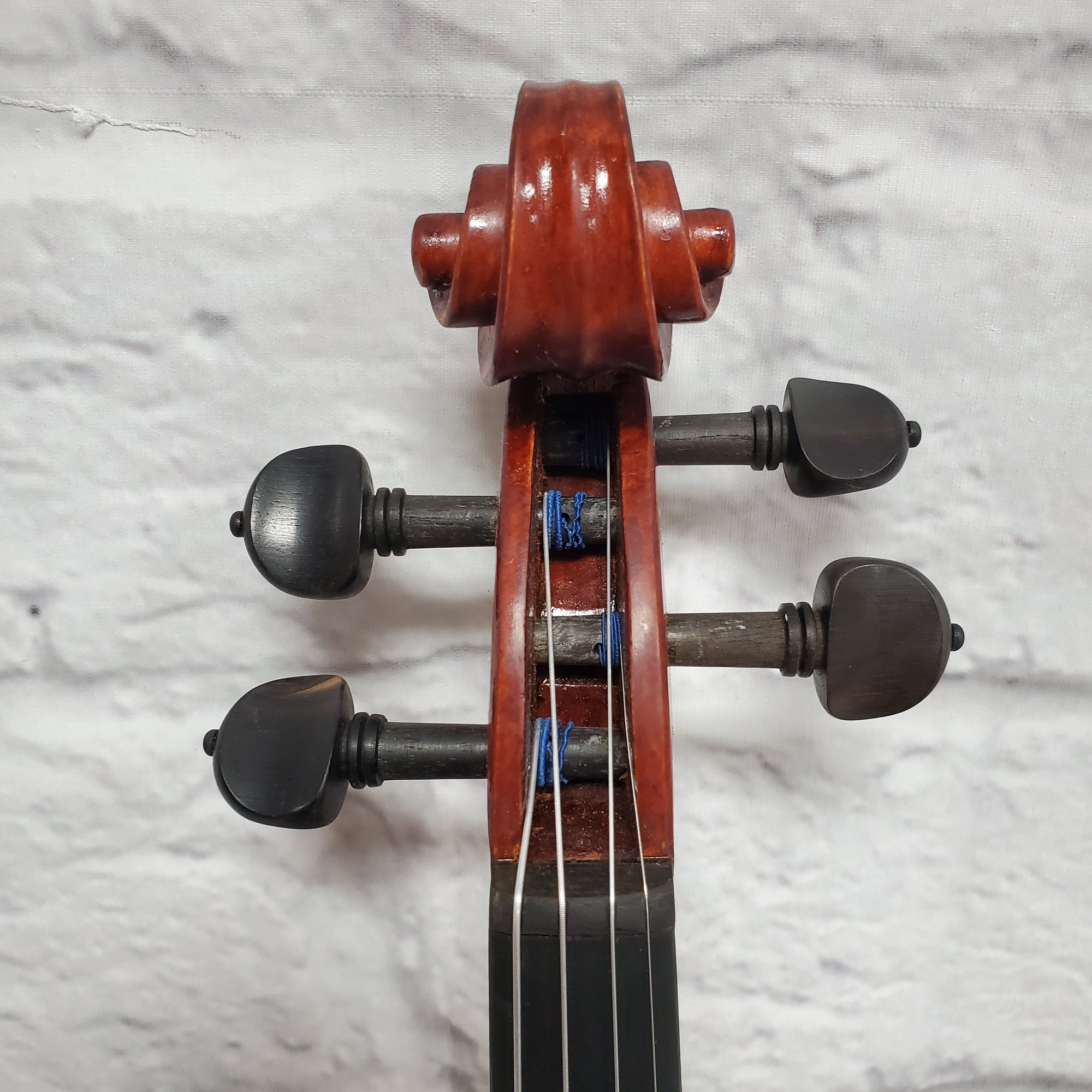 Grottano 4/4 Violin
