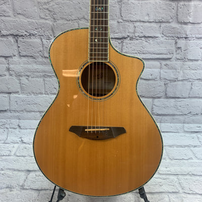 Breedlove AC250/SF Plus w/ Original Case