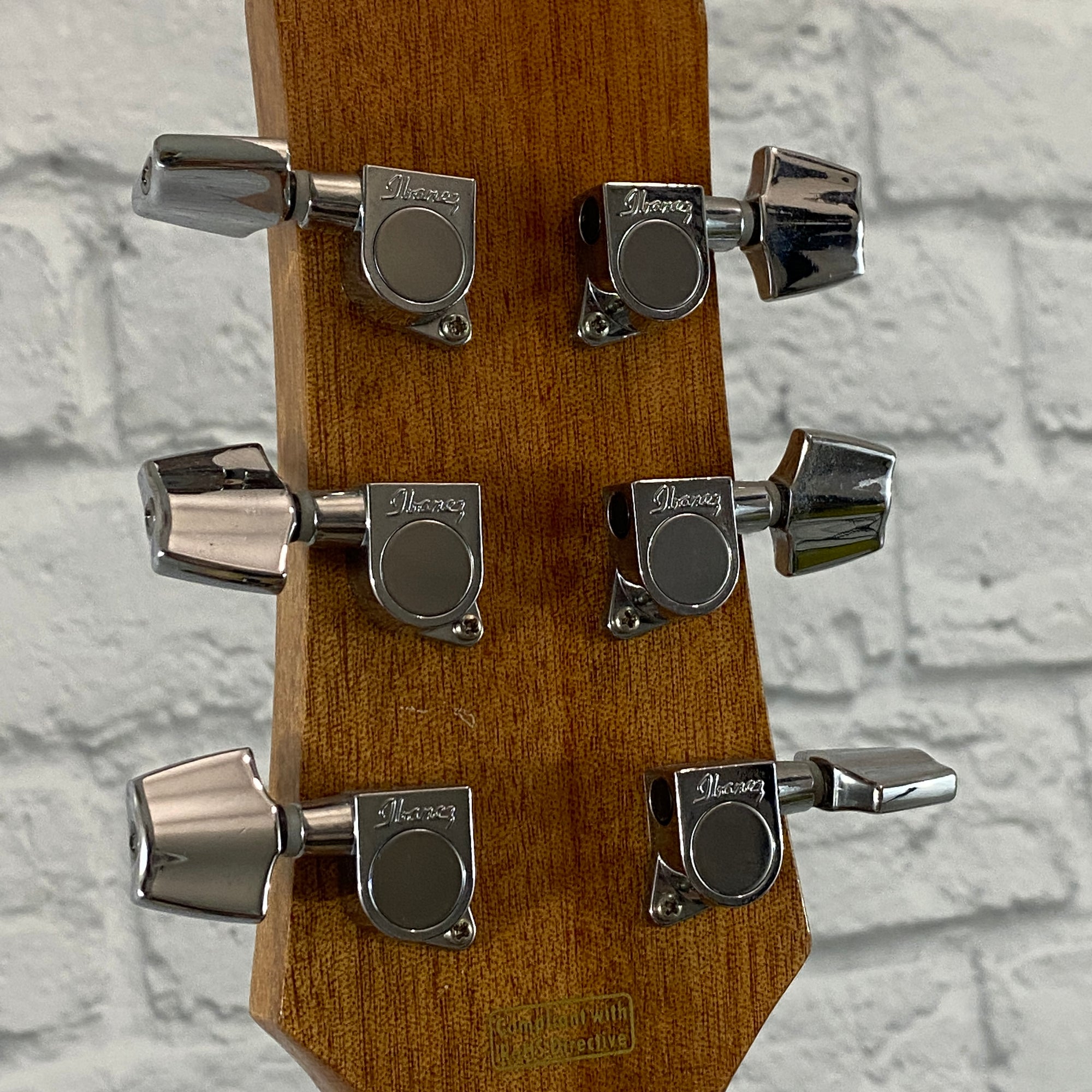 Ibanez EW20ASNT Grand Auditorium Acoustic Guitar - Figured Ash