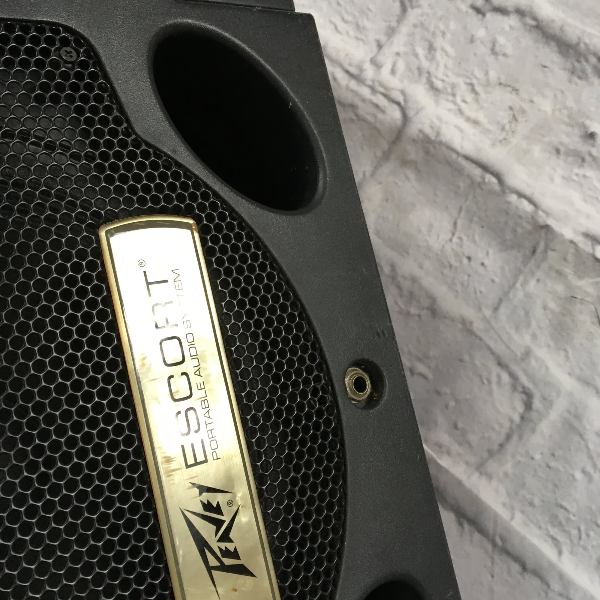 Peavey Encore Speaker Pair Only
