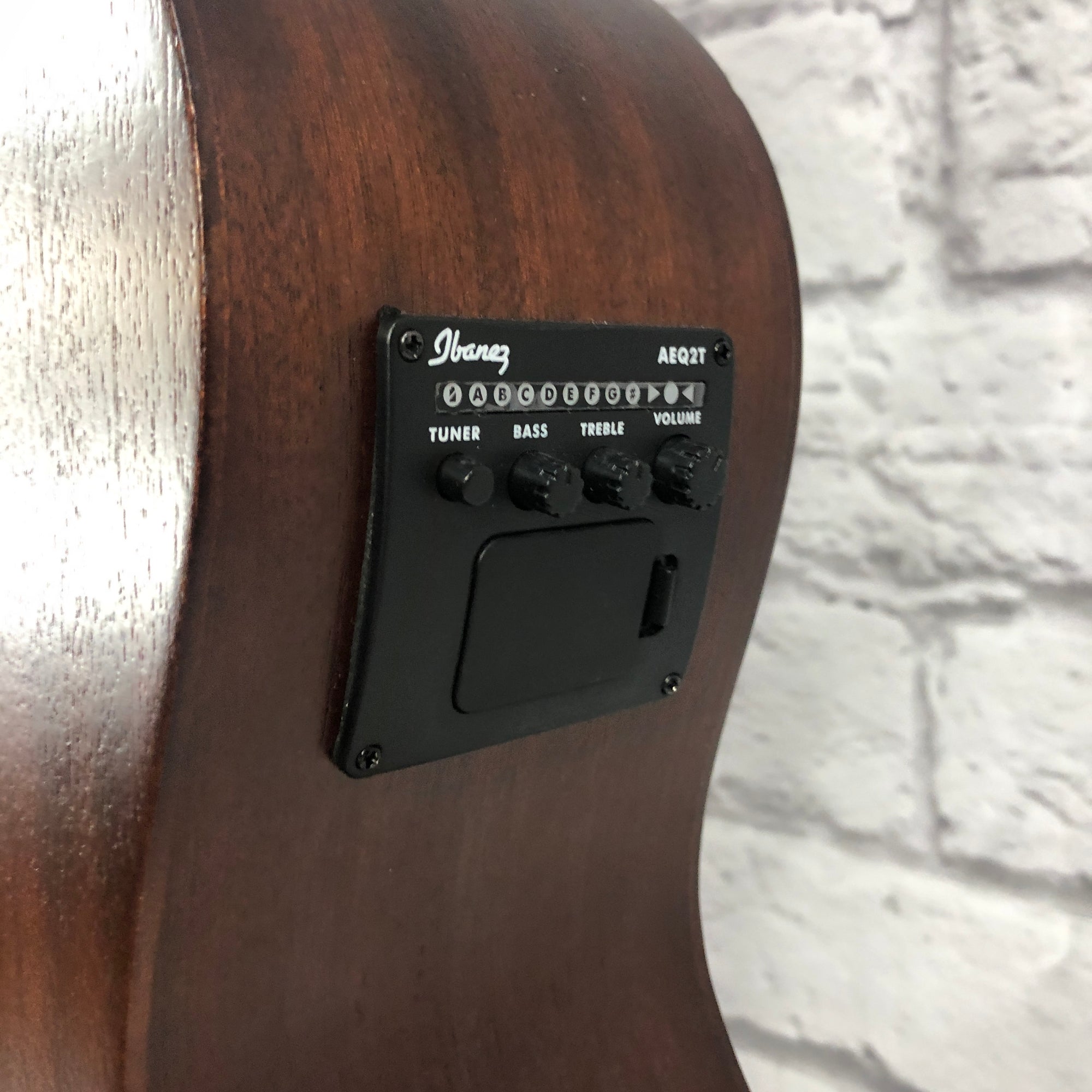 Ibanez PCBE12ME Acoustic Electric Bass