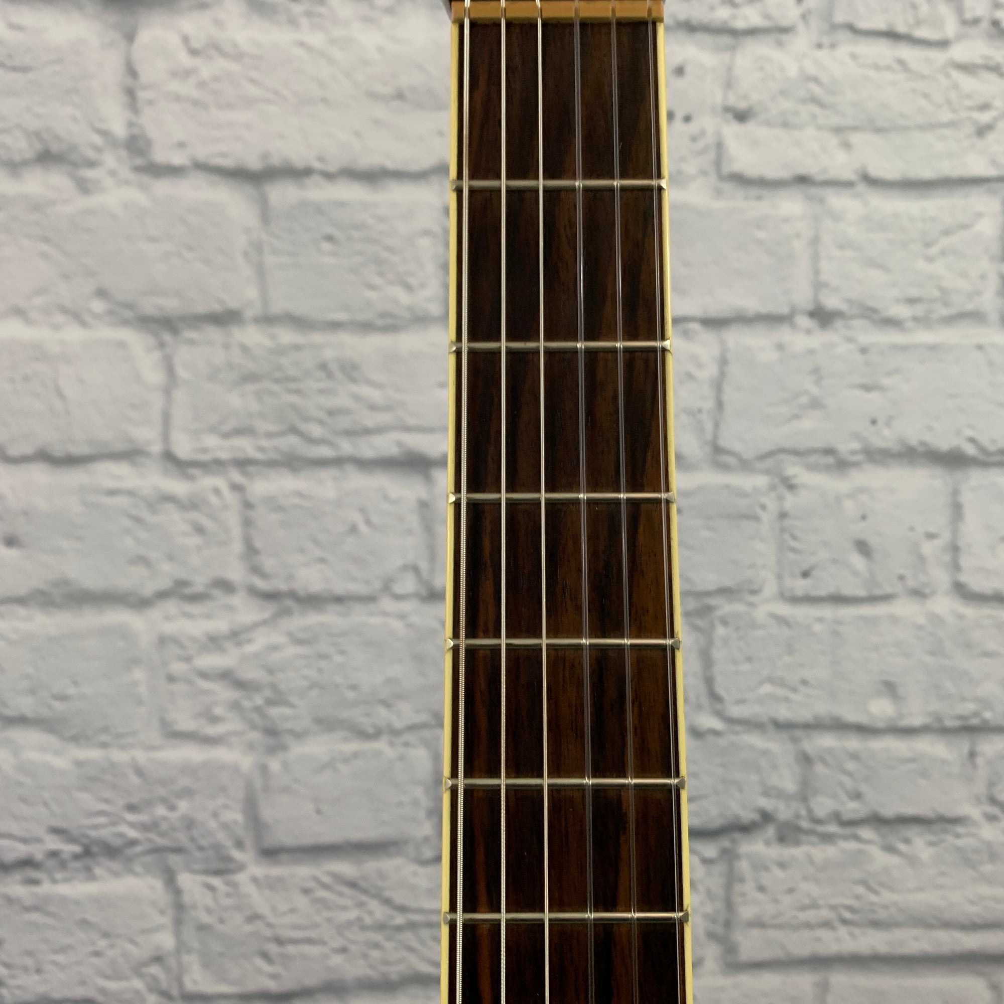 Salvador Ibanez AEG10NE Classical Acoustic-Electric Guitar