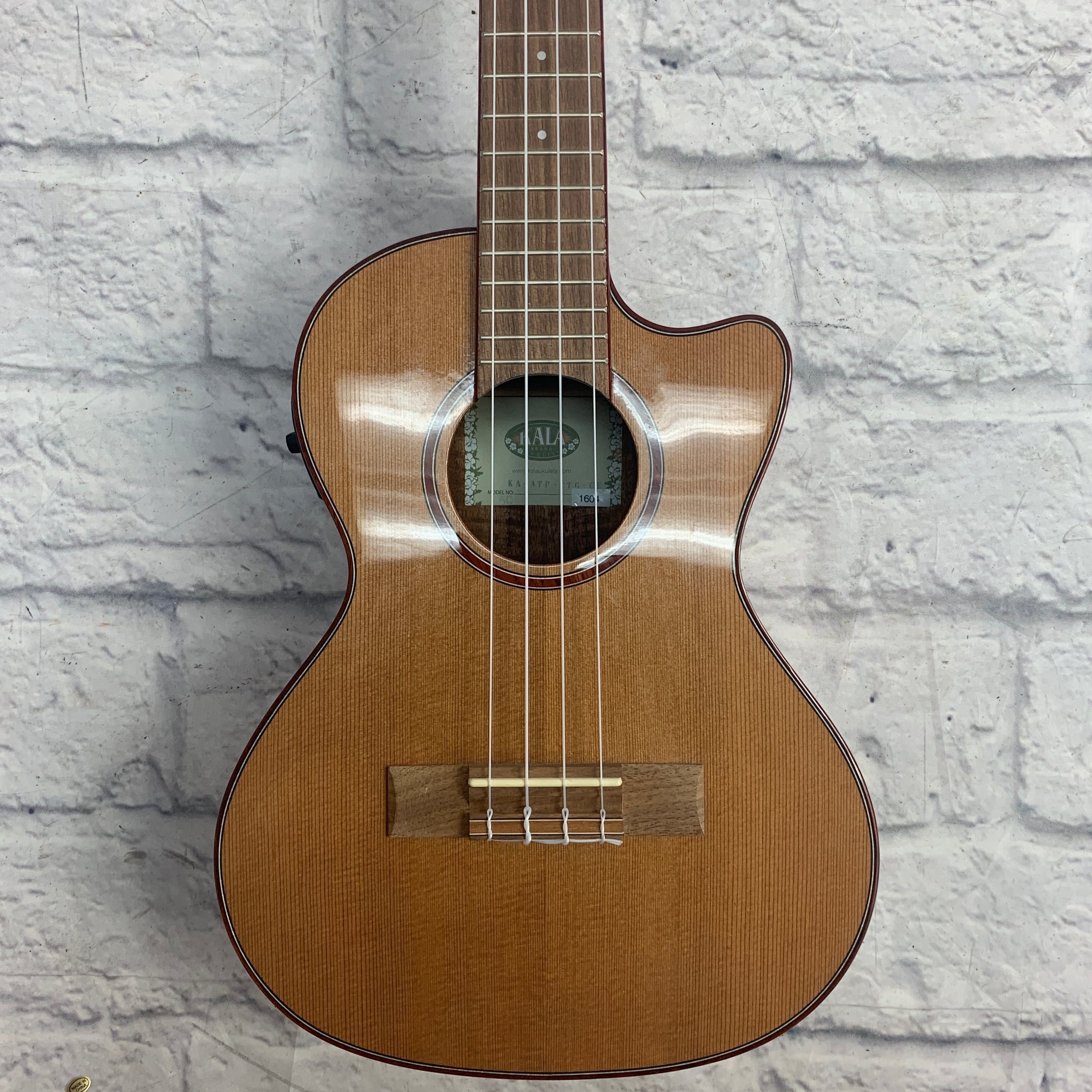Kala KA-ATP-CTG-CE Cedar Top Tenor Ukulele