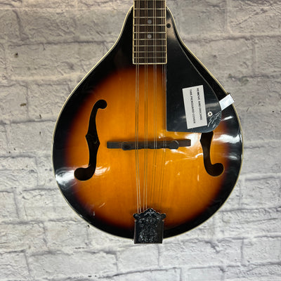 Rogue RM-100A A Style Mandolin