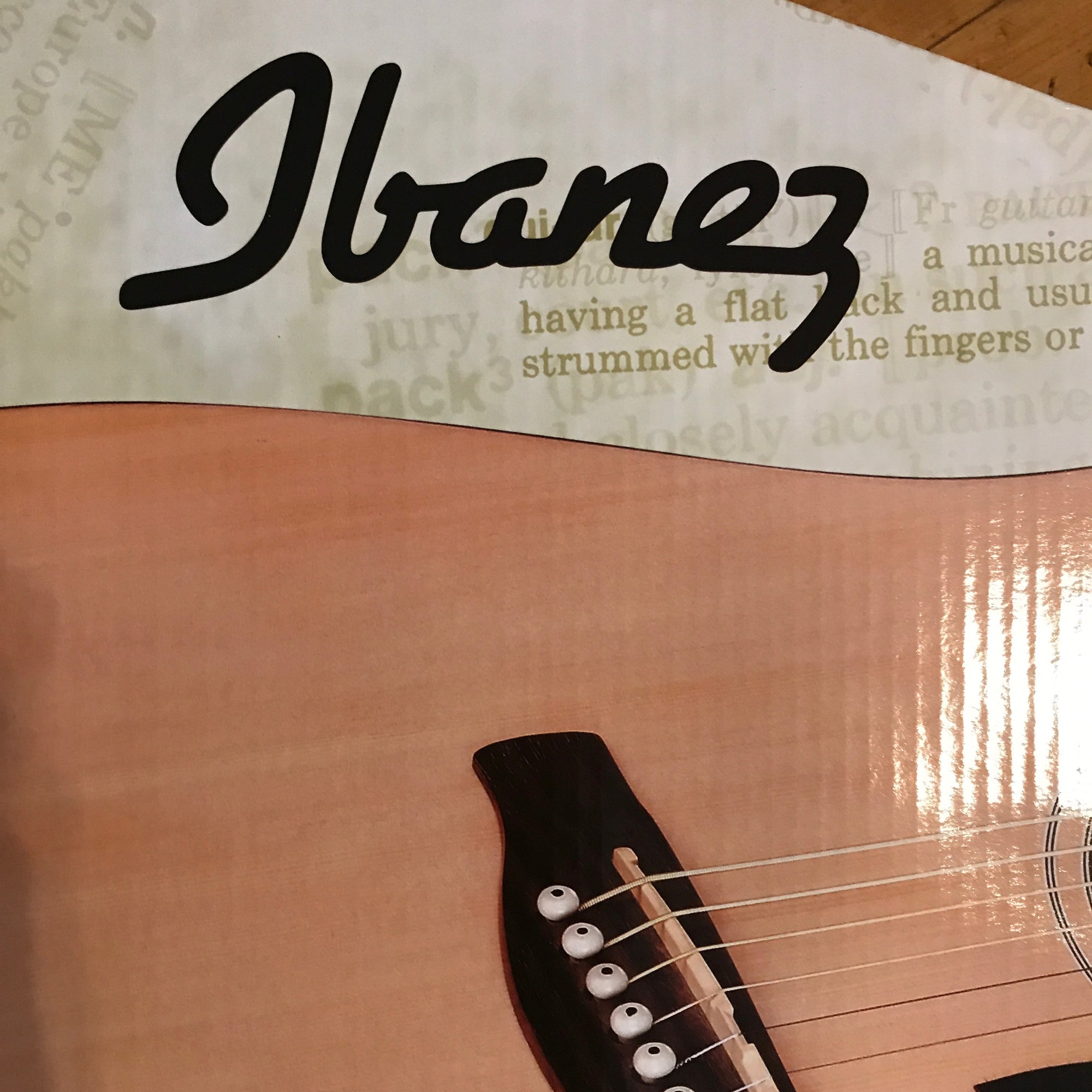 Ibanez JamPack IJV50 Quickstart Dreadnought Acoustic Guitar Pack Natural