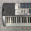 Casio LK-100 61-Key Lighted Keyboard