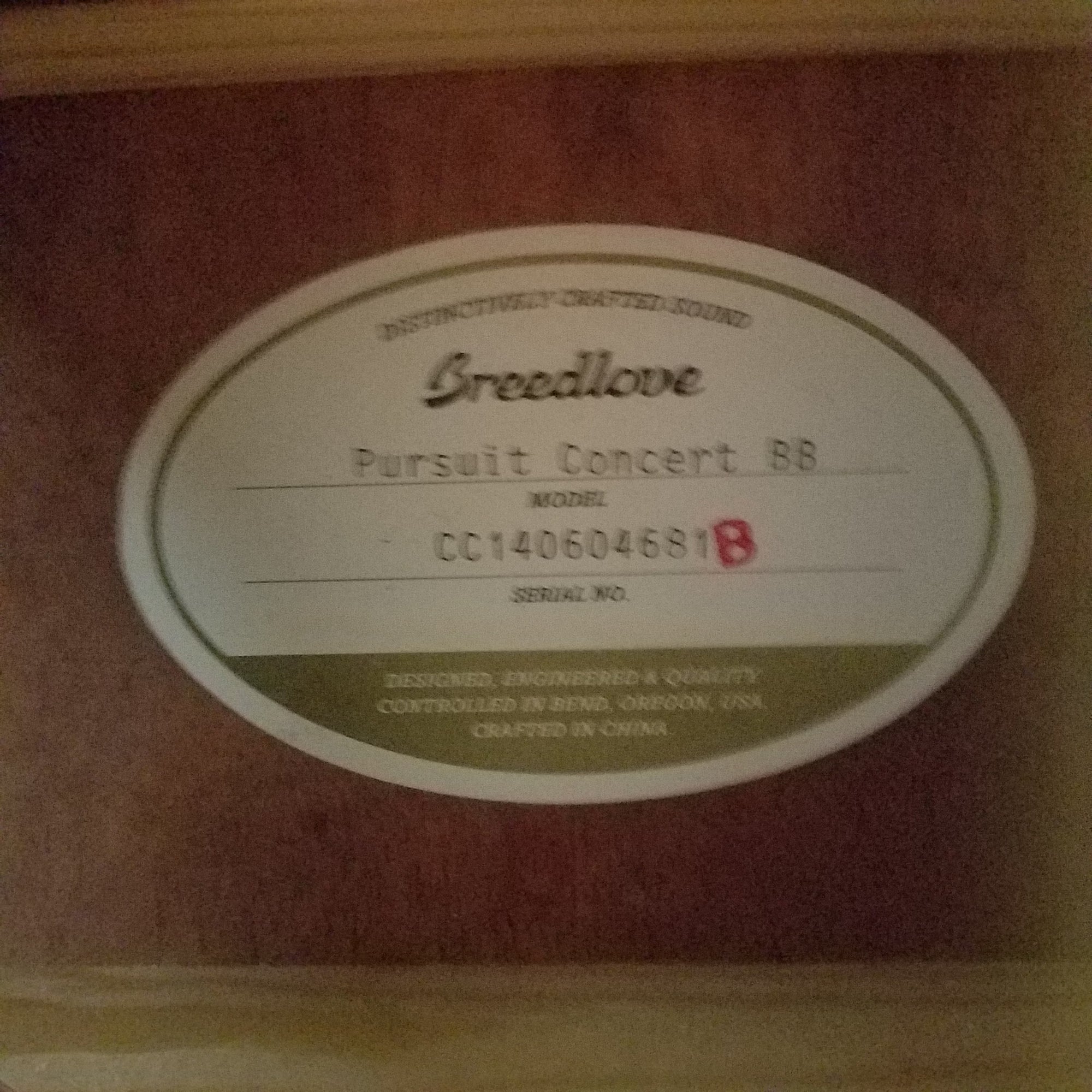 Breedlove Pursuit concert BB Acoustic Guitar